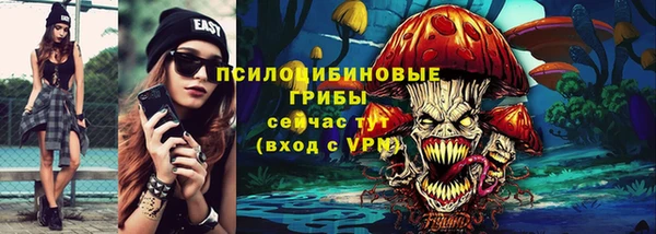 хмурый Костерёво