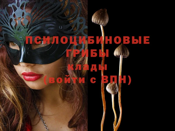 эйфоретик Коряжма