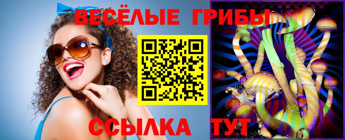 Псилоцибиновые грибы GOLDEN TEACHER Шумерля