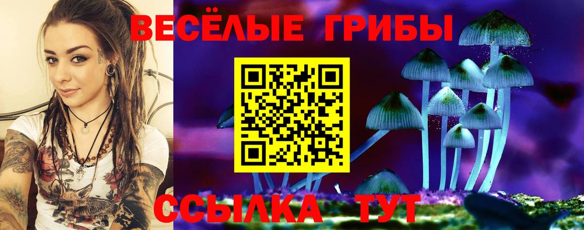 Плюхи  Вход с VPN  Масло THC  Бошки Шишки  Мяу-Мяу  Шумерля  Cocaine  МЕФ 