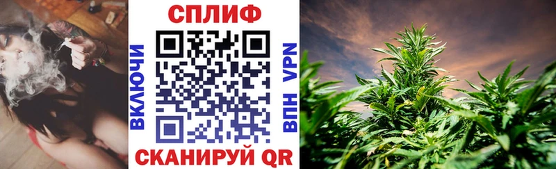 Бошки Шишки семена  Шумерля 